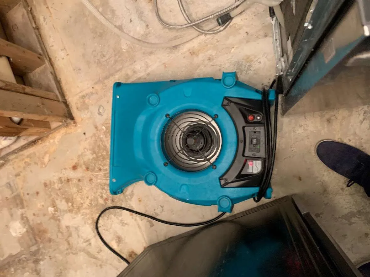 Air mover drying equipment for Mold Remediation & Removal in Hillsboro